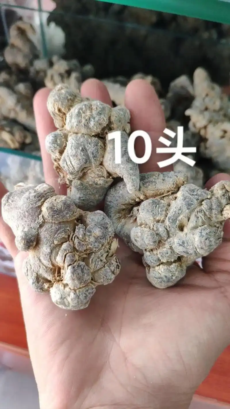 云南田七又称三七漂亮