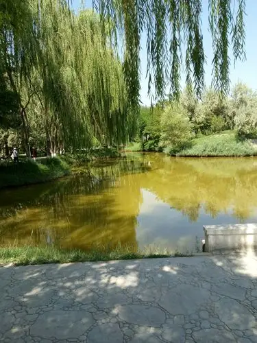 实拍美景,贴近自然