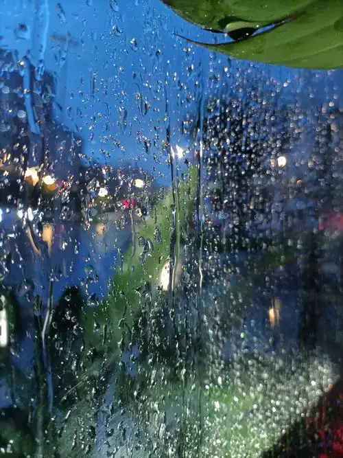 窗外的世界雨二