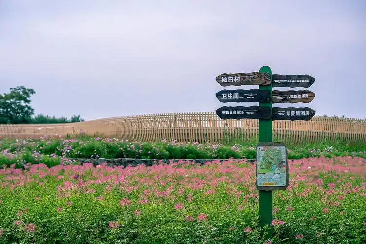 江苏三台山国家森林公园宿迁人的后花园景色美如仙境