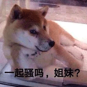 小可爱突然出现表情包 - 实验室设备网