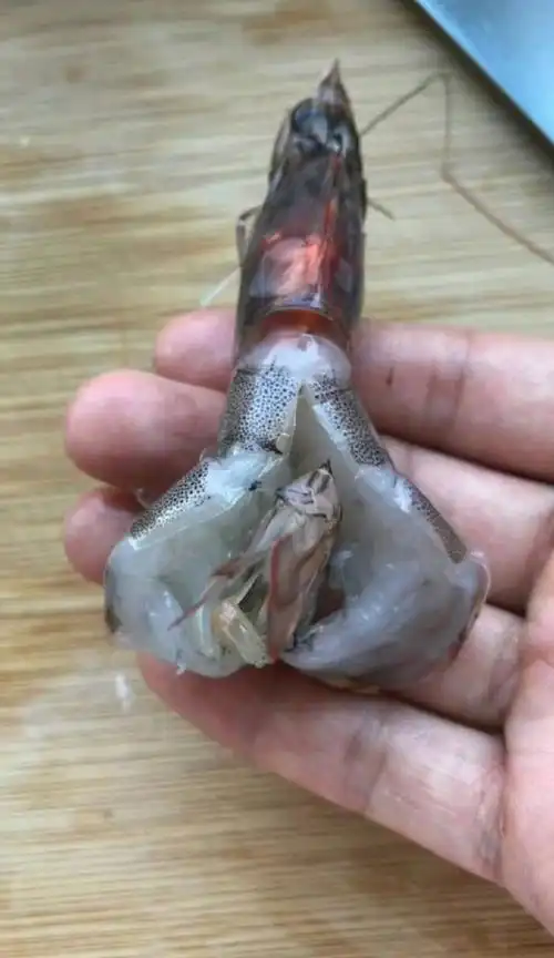 大虾开背去掉虾线清洗干净,做成图中造型