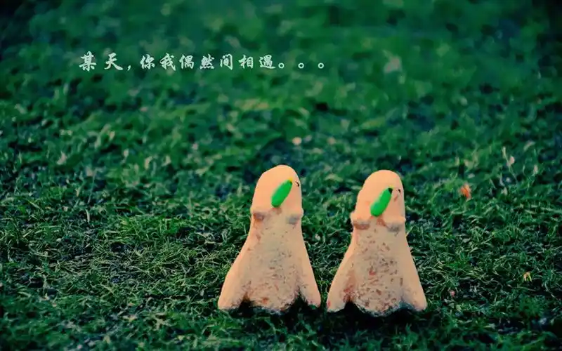 安静地等待爱情文字高清壁纸