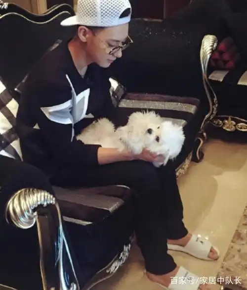 黄子韬洛杉矶豪宅:1个字形容大,豪,2个字形容奢侈,华丽