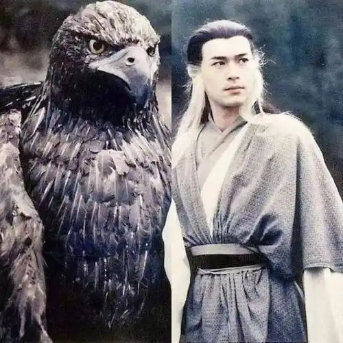 本轮疫情期间的金庸梗大全_杨过_南通_漫画