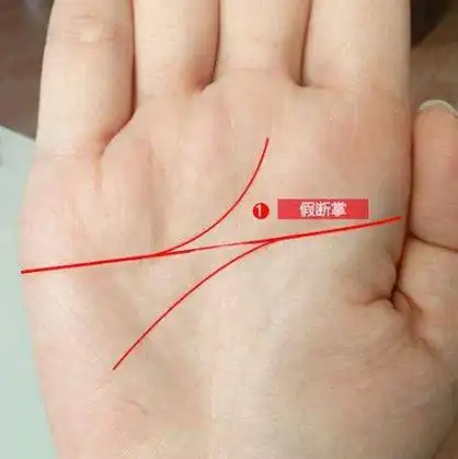 假断掌女人的命运好不好-996手相网