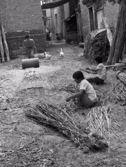 30年前白洋淀老照片满满都是回忆