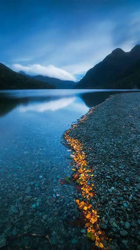 1080p蓝光竖屏壁纸图片 - 搜狗英文