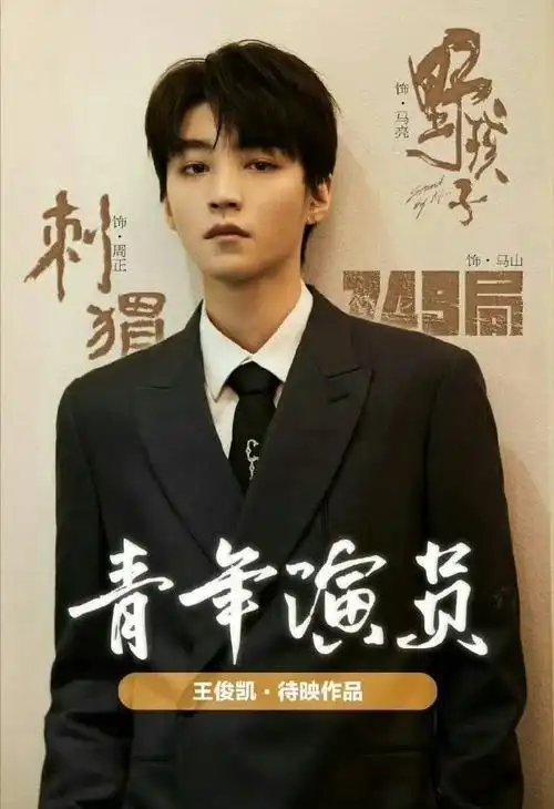 王俊凯的国民度