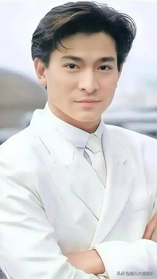 刘德华的故事_香港_社会活动_演艺