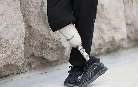 关于塞姆假肢的简单介绍_赛姆_树脂_应力