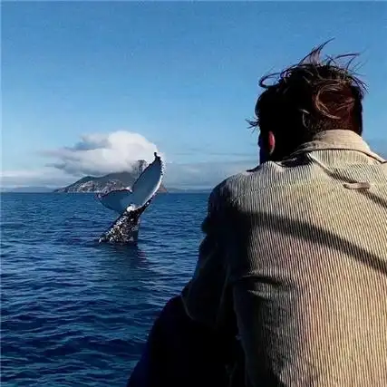 让人心境开阔的氛围感男生图片全新优质男生背景图合集2022