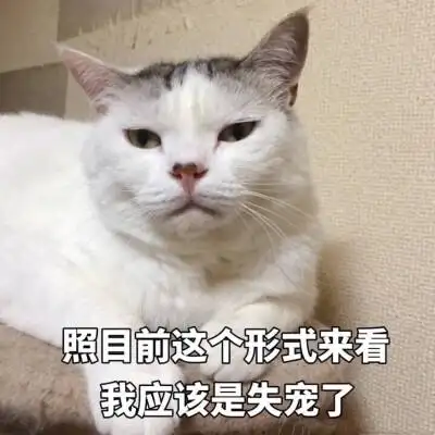 说说配图or 语录