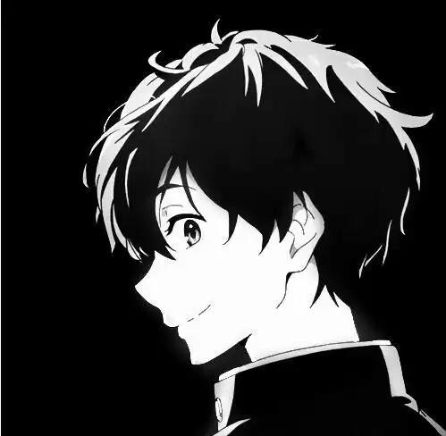 求类似这样的图片,折木奉太郎的,别的也行,黑白分明点就行了