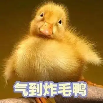 吃老子一记咸鱼炮咸鱼系列表情包咸鱼装逼表情