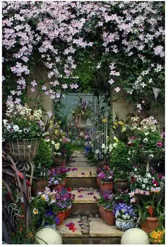 拥有一个小庭院开满鲜花是多么幸福的事) 写美篇开辟出一个小院, 在