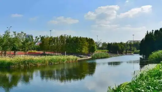 生态旅游区湿地驳岸景观的生态设计