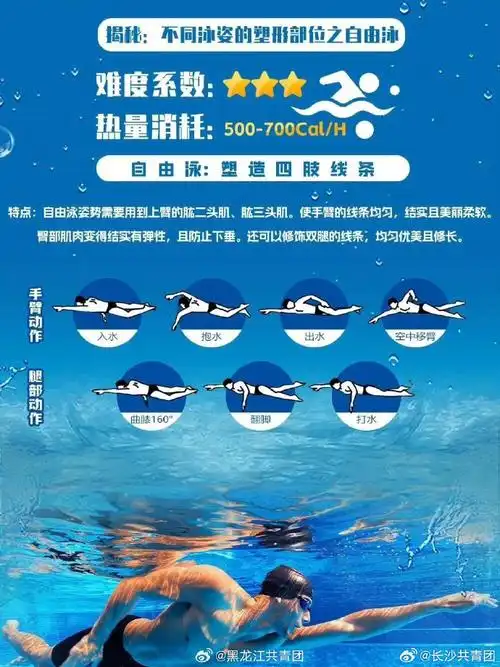 蛙泳,仰泳,自由泳,蝶泳,图文详细教程,快和奥运游泳健儿一起游起来吧