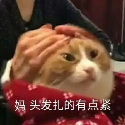妈头发扎的有点紧 - 一组萌萌的猫咪表情包,一起吸猫_猫咪_萌萌哒表情