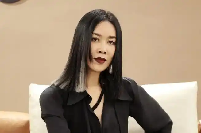 那英 这一辈子没选错职业