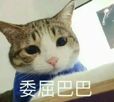 委屈巴巴猫表情包 无水印高清版