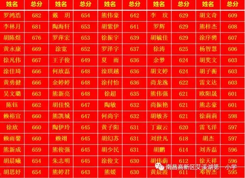 艾溪湖中学2019年中考成绩