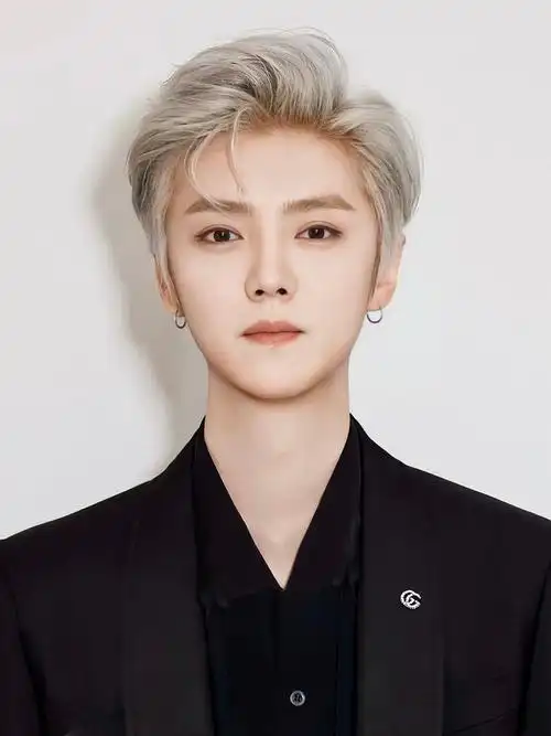 求好看的男明星的证件照