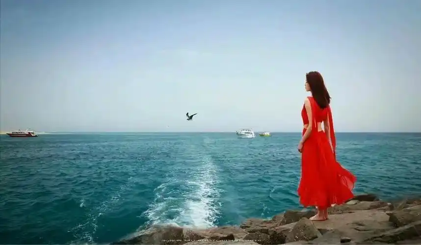 海子面朝大海春暖花开