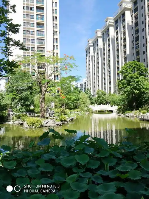 摄影 汕头锦绣江南(一) 写美篇临池写素雅 薄照晨光花次开, 碧池微荡