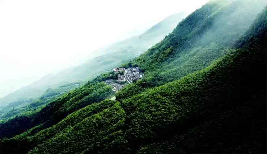 被遗忘的4a级景区重庆永川茶山竹海电影十面埋伏的取景地