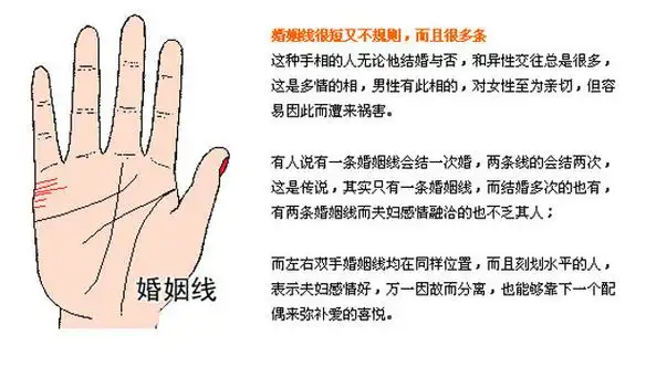 最详细的女人手相图解