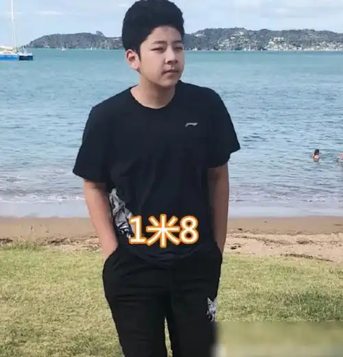 森碟的身高1米58天天的身高1米72看到石头的身高白活二十多年