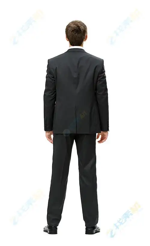 西装商务男子背影高清图片下载