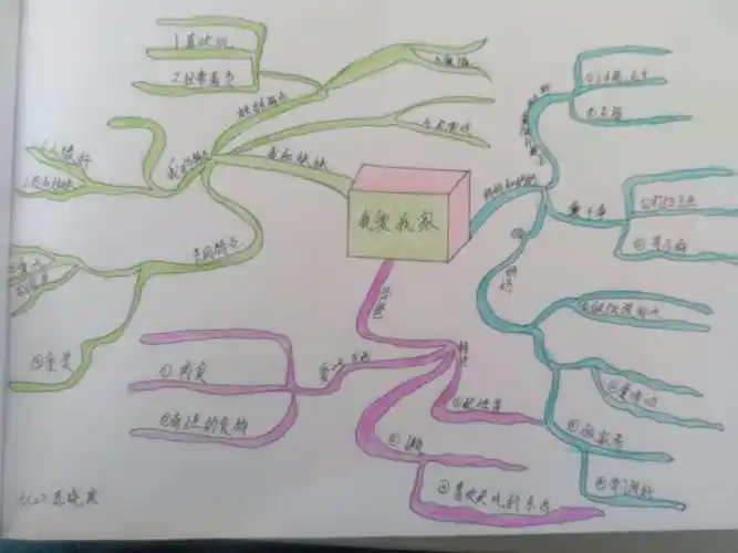 六年级2班作文思维导图---《我的家庭》习作指导