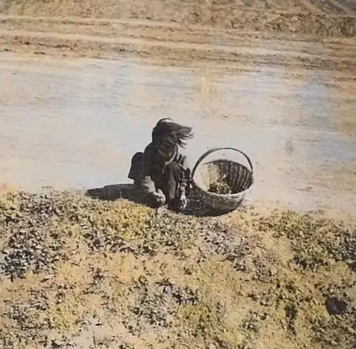 民国时期老照片看看那时候穷人家的孩子们