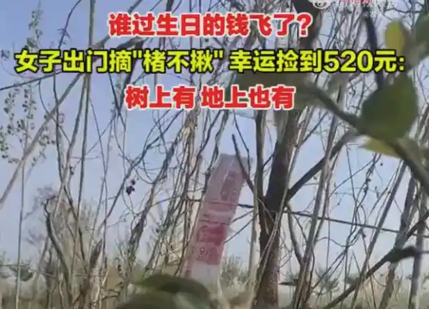 网友:这回天上真掉钱了!(责任编辑:乔娇 tt0002)