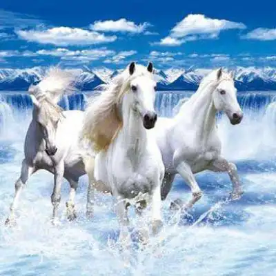 微信头像骏马图,适合做微信头像的马的图片