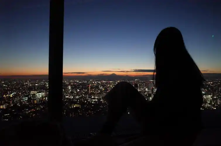 再次推荐大家去六本木看夜景!