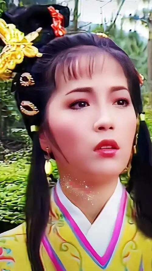 一个角色红一辈子石榴姐苑琼丹