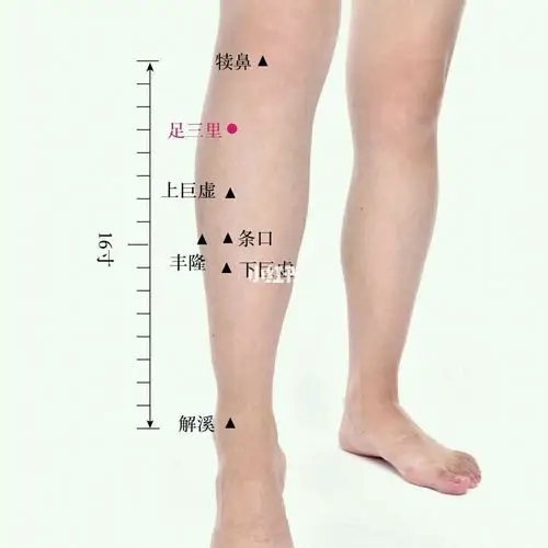 95小腿抽筋是怎么回事?