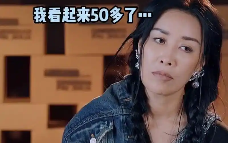 那英:紧急搜索字典里不带脏的话