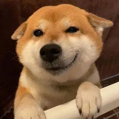 小狗狗能有什么坏心思呢(657927_微信头像_我要个性网