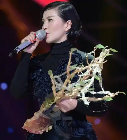 图蒙面歌王野草是谁揭秘谭维维声音大爆发变歌王