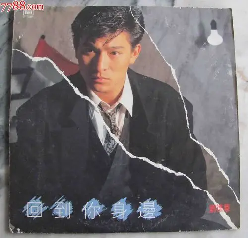 刘德华.回到你身边