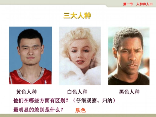 中图版八上地理 3.1 人种与人口 课件19ppt-21世纪教育网