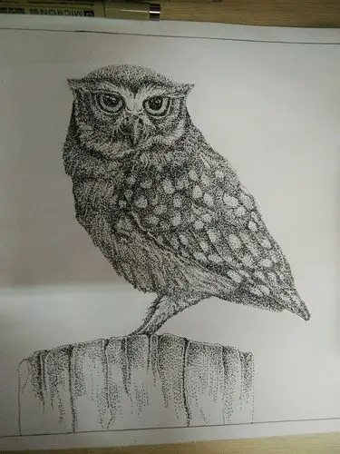 点绘-堆糖,美好生活研究所