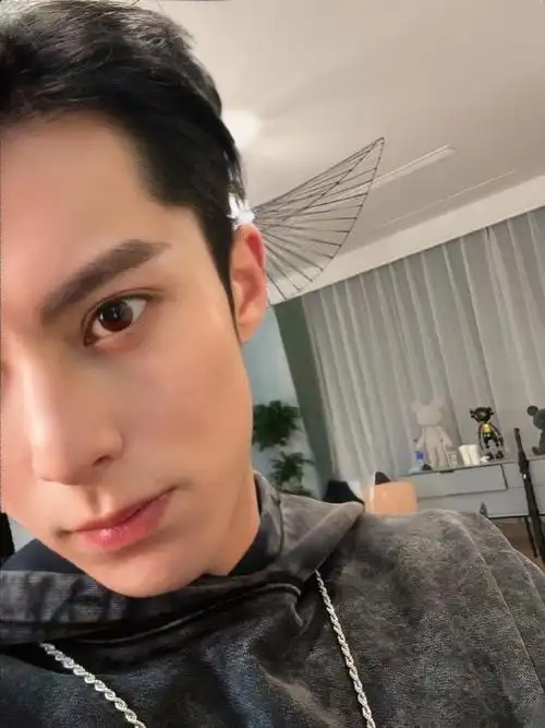 男明星对镜自拍模版王鹤棣没错了