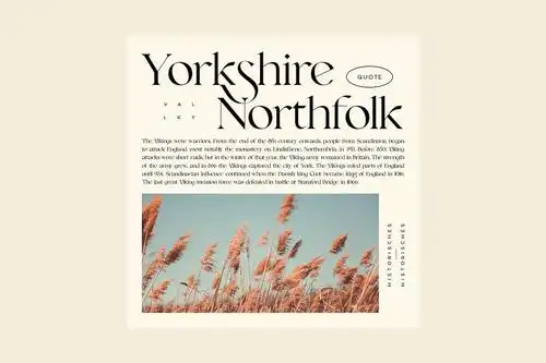 现代复古杂志海报标题logo设计衬线英文字体素材 vensfolk classic