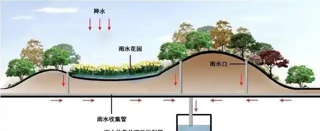 案例赏析雨水花园与环境的结合