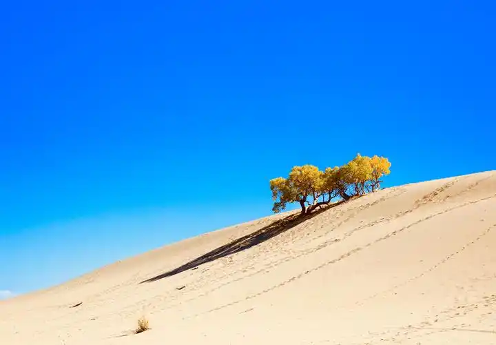 青海海西～2018.10月的格尔木,追逐谜一般的色彩.